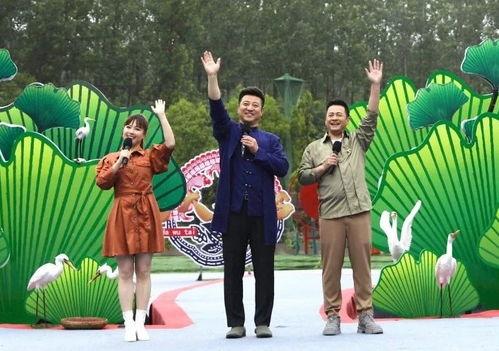 云南中药材最新爆料视频,揭秘神秘药草宝藏